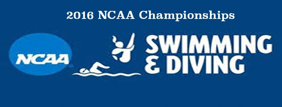 UCSC's Ivan Garin Qualifies for NCAA Championships