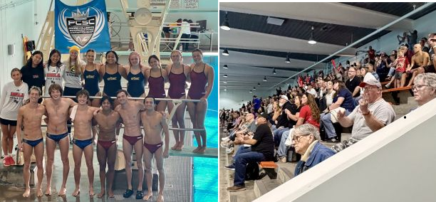 Day 4 Dive Recap